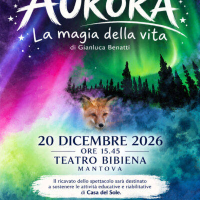 Locandina 20 dicembre 2026