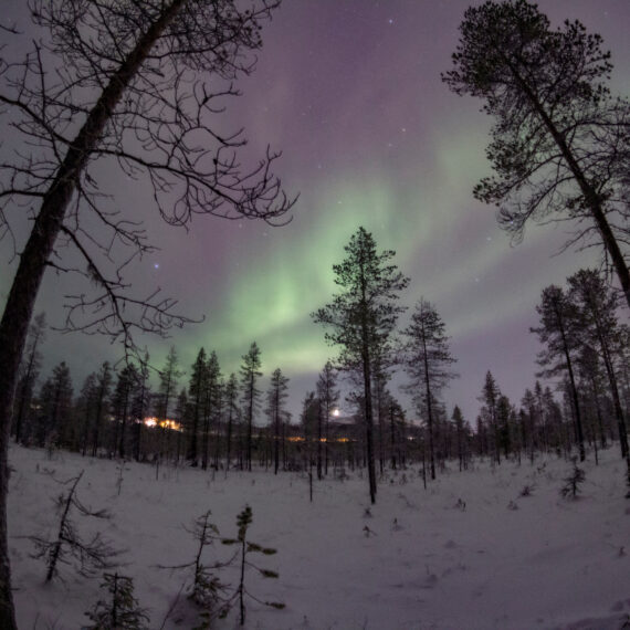 Aurora Boreale 2025